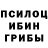 Галлюциногенные грибы мицелий Aliya Best