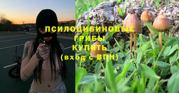 МДПВ Верхний Тагил