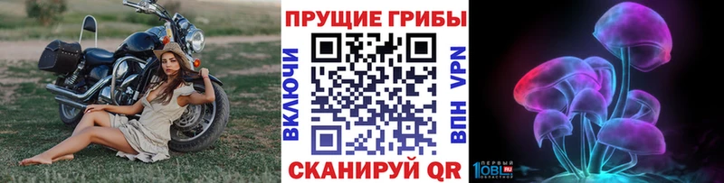 Купить закладки Солнечногорск Галлюциногенные грибы мухоморы